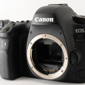 【美品】 キャノン Canon EOS 6D Mark II ボディ