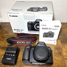 EOS 6D Mark II ボディ 外箱 バッテリー付き