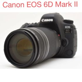 Canon EOS 6D Mark II レンズセット/Canon 75-300