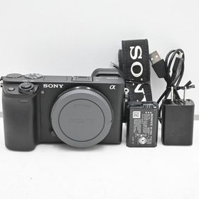 ショット数『1909』SONY(ソニー) APS-C ミラーレス一眼カメラ α6400 ボディ