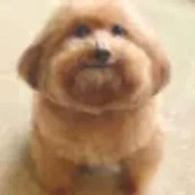 ❄️ |2014年参加日 | メアド未登録 |即時配達 |❄️