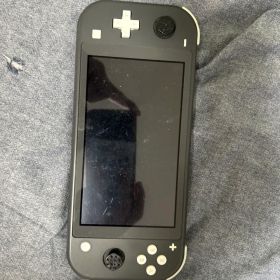 Nintendo Switch Lite グレー 本体