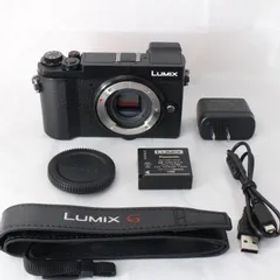 ☆美品・ショット数1109☆ Panasonic LUMIX GX7 Mark III パナソニック ミラーレス ルミックス GX7MK3 ボディ ブラック DC-GX7MK3-K #4440
