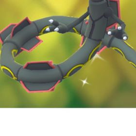 8958【PTC】在庫残り僅か！レックウザ10匹 内色違い1匹 | ポケモンGOのアカウントデータ、RMTの販売・買取一覧