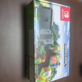 Nintendo Switch Minecraftセット ジャンク扱い