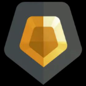 ✅アジア太平洋✅ゴールド⭐️0 スキン