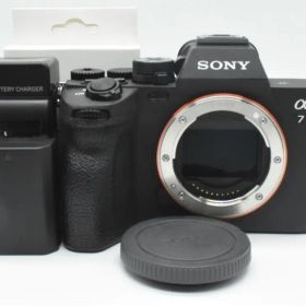 ▪️美品▪️ソニー SONY ILCE-7M4 《S数6800回》