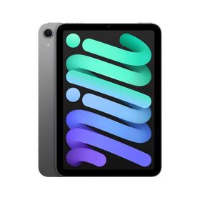 Apple iPad mini 第7世代 Wi-Fi 256GB MXNA3JA スペースグレイ【お取り寄せ商品（３週間から４週間程度での入荷、発送）】（2100000016918）