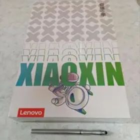 ☆Xiaoxin pad pro 2025 8gb 256gb グレー(新品)