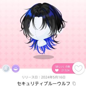 セキュリティブルーウルフ 1点 | ポケコロツイン(ポケツイ)のアカウントデータ、RMTの販売・買取一覧