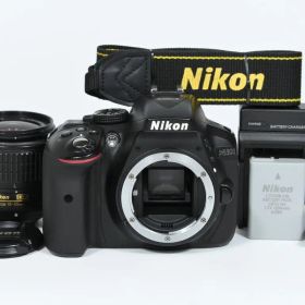 【美品】 ニコン Nikon D5300 レンズキット