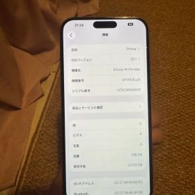 海外版iPhone 16 Pro Max 256GB,極美品,バッテリー100％