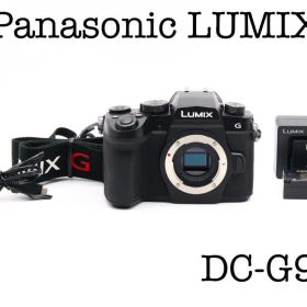 ■完動品 Panasonic LUMIX DC-G99 ショット数132