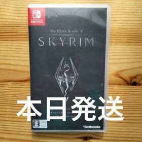 The Elder Scrolls V: Skyrim (Switch)