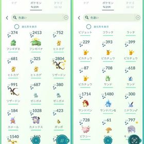 引退垢 | ポケモンGOのアカウントデータ、RMTの販売・買取一覧