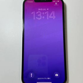 iPhone 12Pro Max Graphic 256GB Sim Free