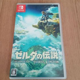 和*人様 ゼルダの伝説 ティアーズ オブ ザ キングダム