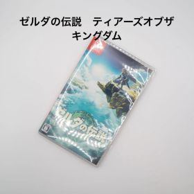 ゼルダの伝説 ティアーズオブザキングダム