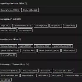 ランク参加可能