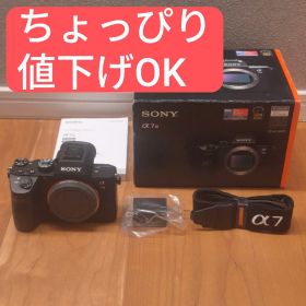 SONY α7Ⅲ ILCE-7M3 ボディ フルサイズカメラ