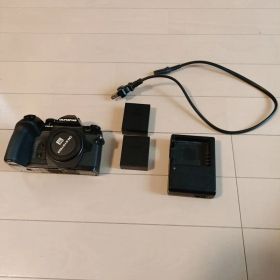 （新春セール）Olympus OM-D E-M1 Mark II【動作確認済み】