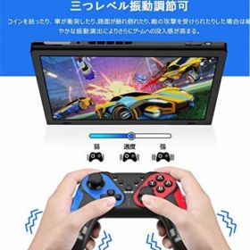 Nintendo Switch コントローラー SW213