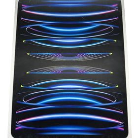 iPad Pro 12.9インチ（第6世代）Wi-Fiモデル 256GB バッテリー100％