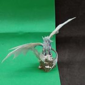 モンスターハンターワールド:アイスボーン イウ゛ェルカーナ カプコン