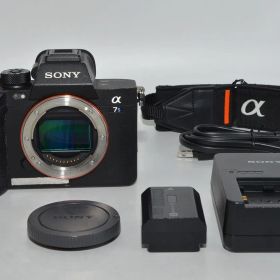 ソニー SONY α7SIII ボディ ILCE-7SM3