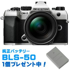 純正スペアバッテリープレゼント！ OM SYSTEM オーエムシステム 【純正スペア電池プレゼント】OM-5 Mark II 12-45mm F4.0 PROレンズキット シルバー 【お得なセットもあります】