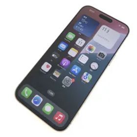 【キズあり品】iPhone 16 Pro Max/256GB/359737301375642