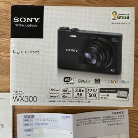 SONY Cyber-shot DSC-WX300 青