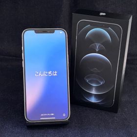 Apple iPhone12ProMax 256GB