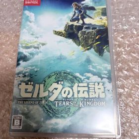 ゼルダの伝説 ティアーズ オブ ザ キングダム