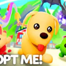 アダプトミー 150K-190K B |185-240 ポーション✅