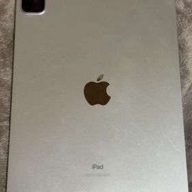 iPad Pro 11インチ 第2世代 128GB
