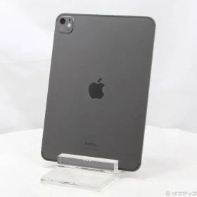 〔中古品〕 iPad Pro 11インチ 第5世代 標準ガラス 256GB スペースブラック MVW13J／A SIMフリー【262】