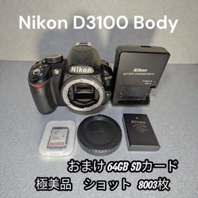 ニコン(Nikon)のNikon D3100 Body おまけ64GB SDカード 極美品 ショット(デジタル一眼)