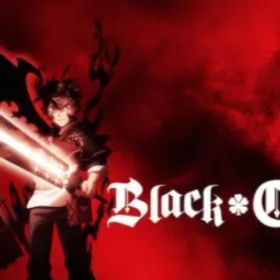 【BC11】[日本] 85000クリスタル+300絆召喚チケット+13SSR |詳細情報[短納期]