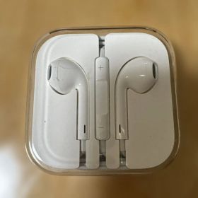 Apple EarPods with Case