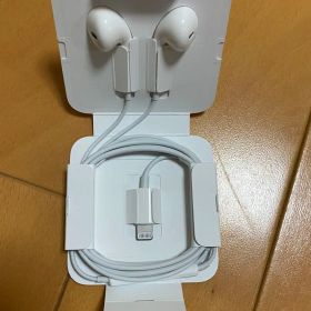 Apple EarPods with Lightning Connector