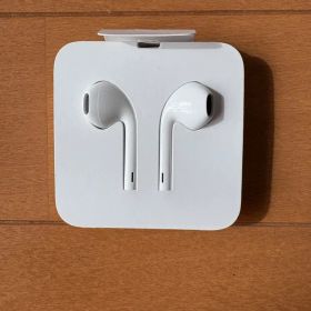 Apple EarPods with Lightning Connector