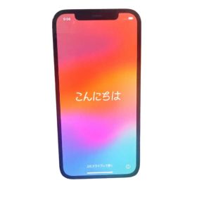 SIMフリー iPhone12Pro 128GB 初期化済み 動作良好 背面割れ
