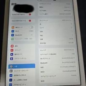 Apple Ipad Air 第2世代 セルラー＋Wi-Fi