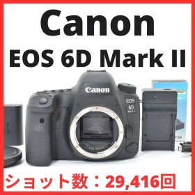L11[7108A]114★美品★ キヤノン Canon EOS 6D Mark II ボディ 【ショット数 29,416回】