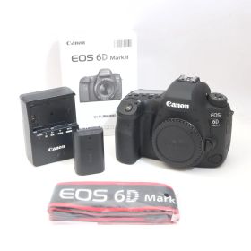 Canon キャノン EOS 6D Mark II デジタル一眼レフカメラ