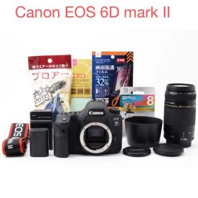 保証付/一眼レフカメラCanon EOS 6D Mark II 望遠レンズセット