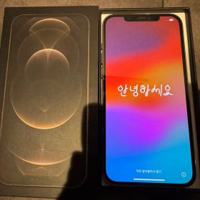 iPhone12 ProMax ゴールド 256GB 1月5日まで『値下げ中』