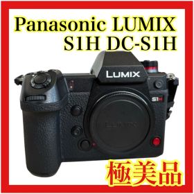 【極美品】Panasonic LUMIX S1H ボディ DC-S1H