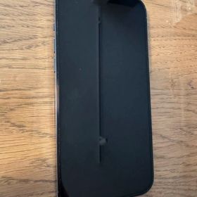 iPhone 13 Pro Max シエラブルー 256GB